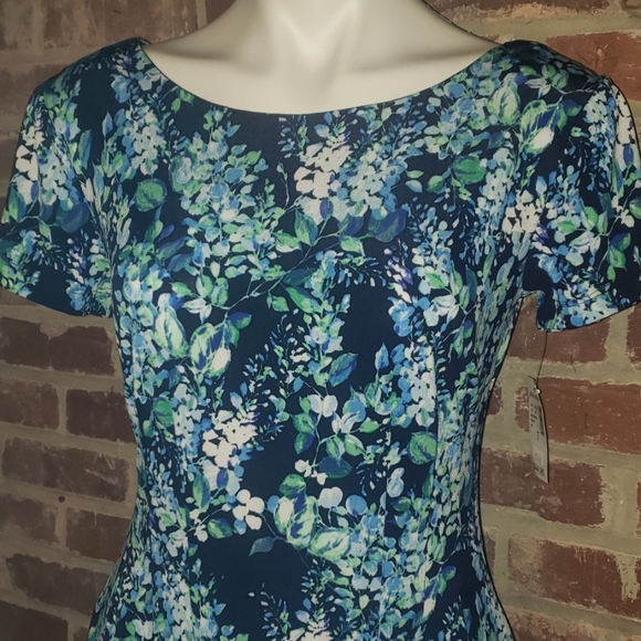 Very sweet dress. **Brand New** - Picture 2 of 3